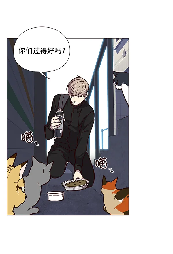 第36话 第86页