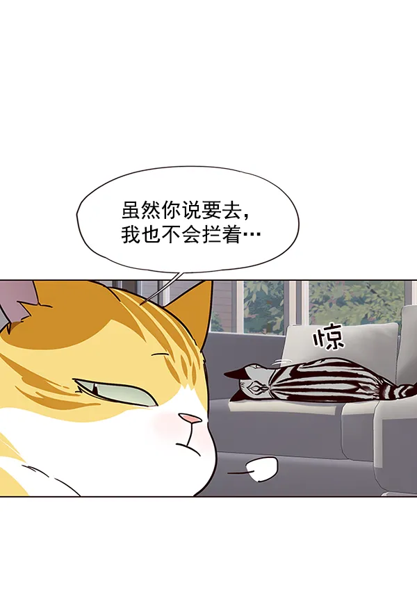 第37话 第37页