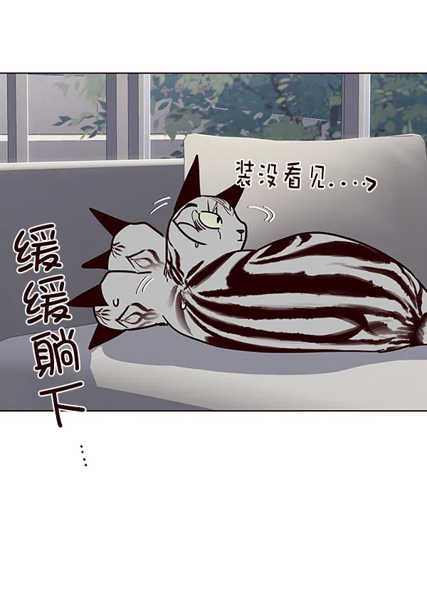 第37话 第42页