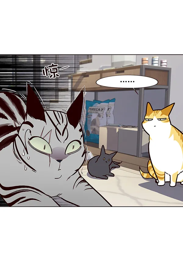 第37话 第48页