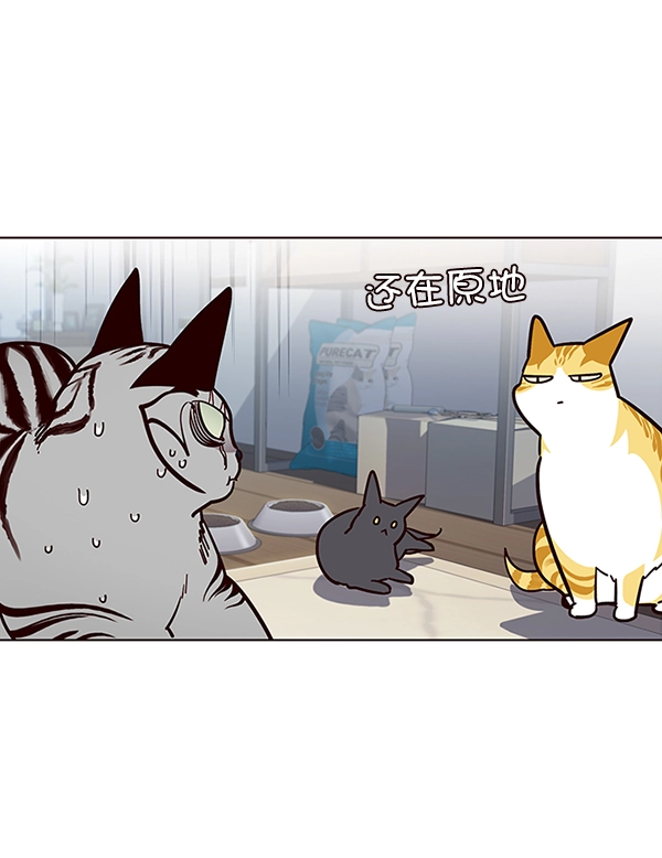 第37话 第49页