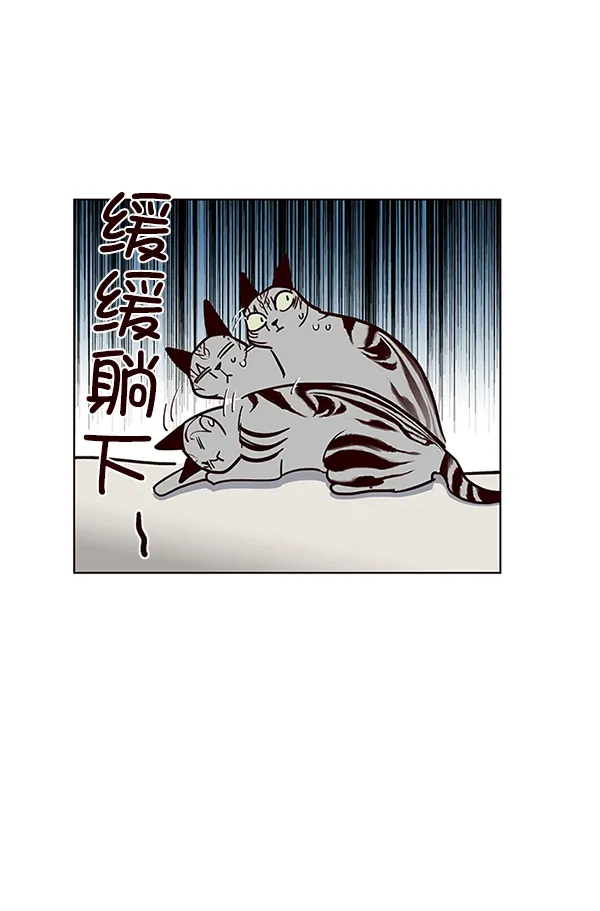 第37话 第50页