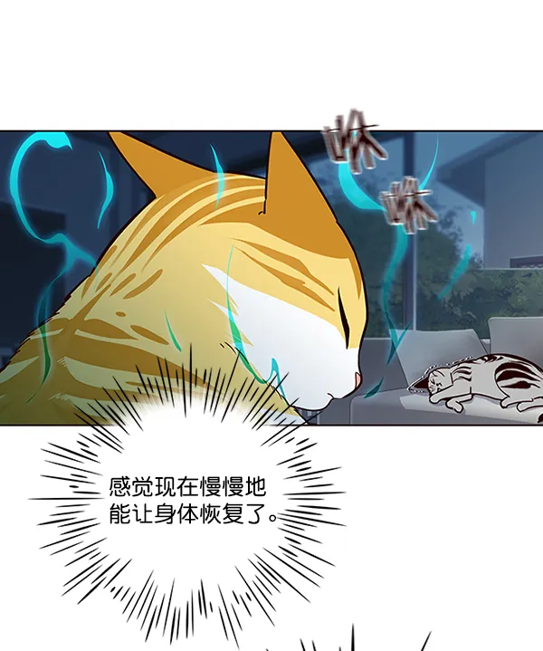 第37话 第54页