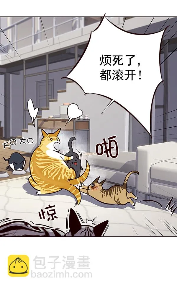 第37话 第60页