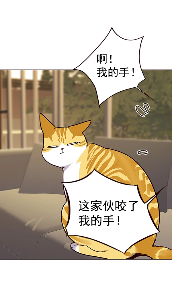 第38话 第54页