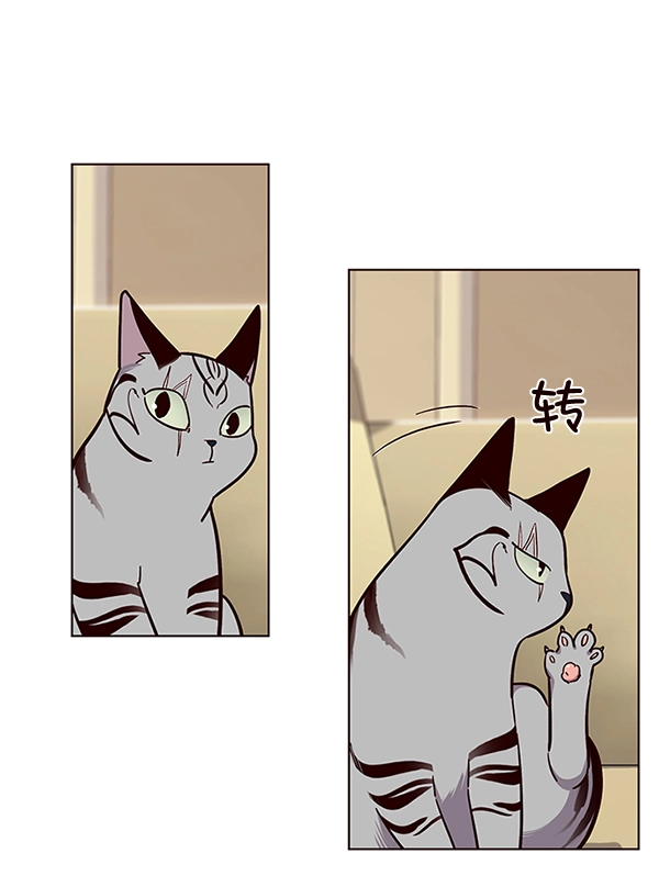 第38话 第66页