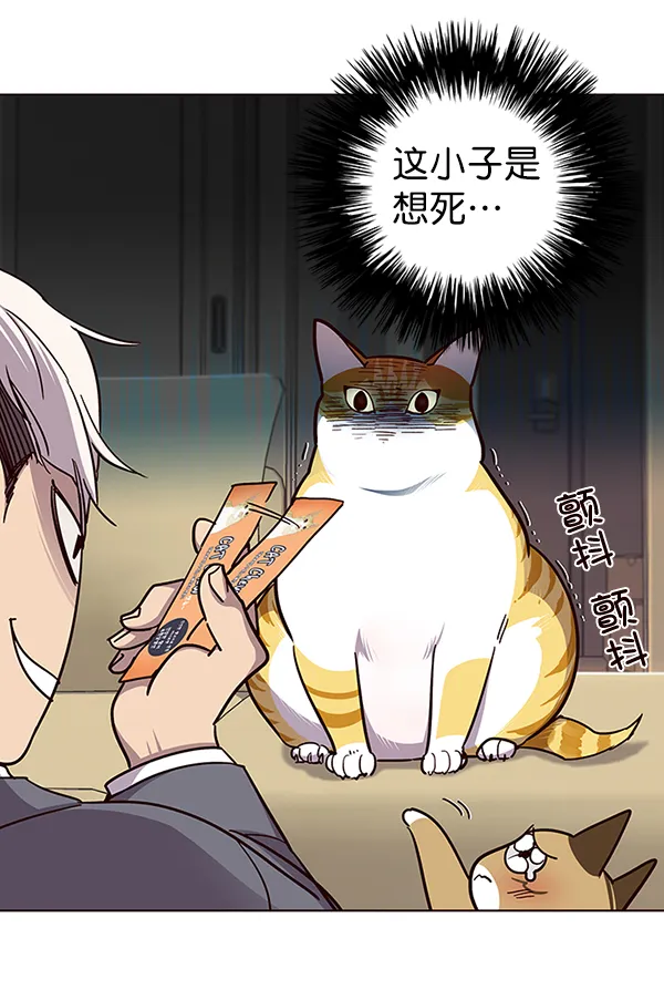 第38话 第71页