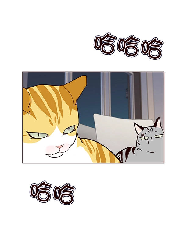 第40话 第75页