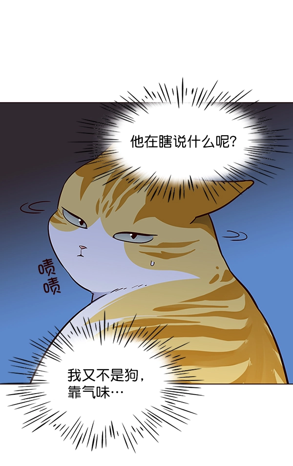 第41话 第61页
