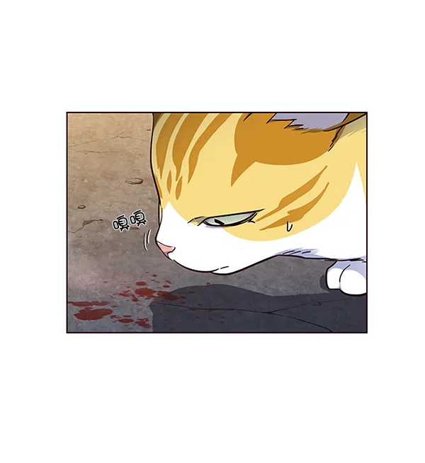 第41话 第63页