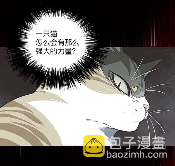 第46话 第46页
