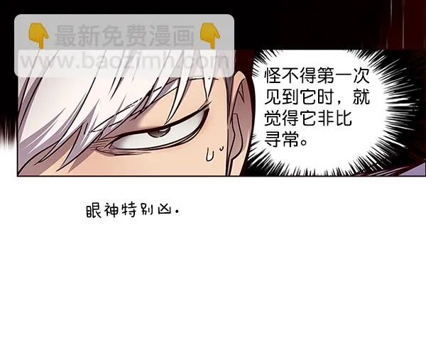 第46话 第47页