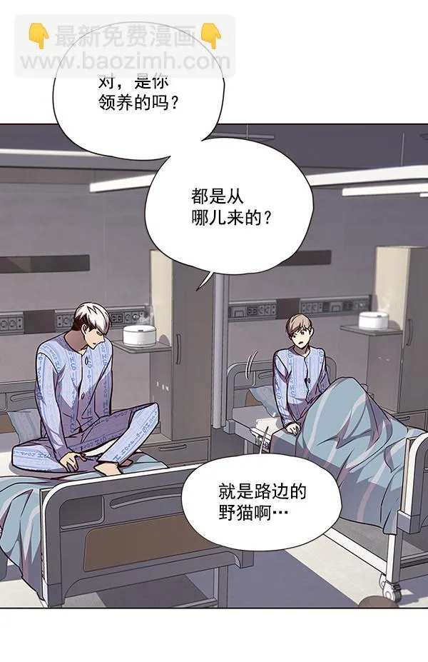 第46话 第51页