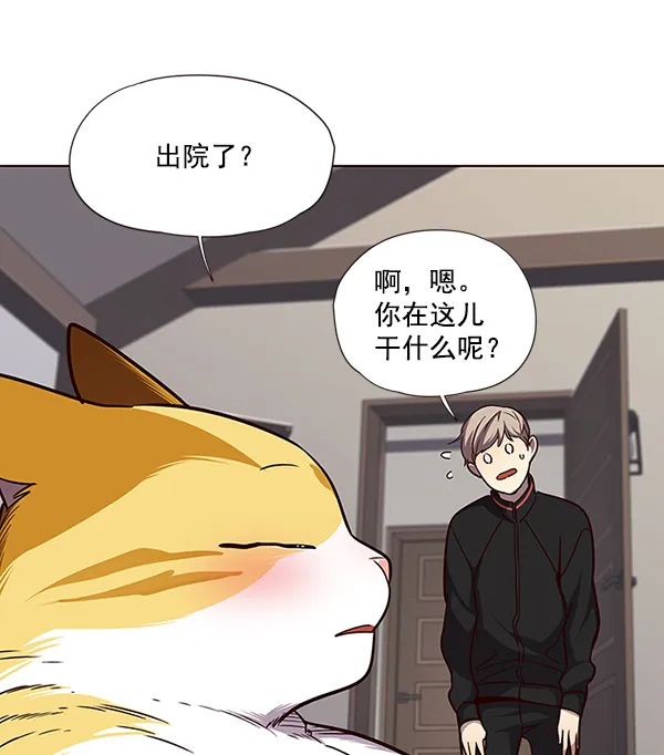 第47话 第41页