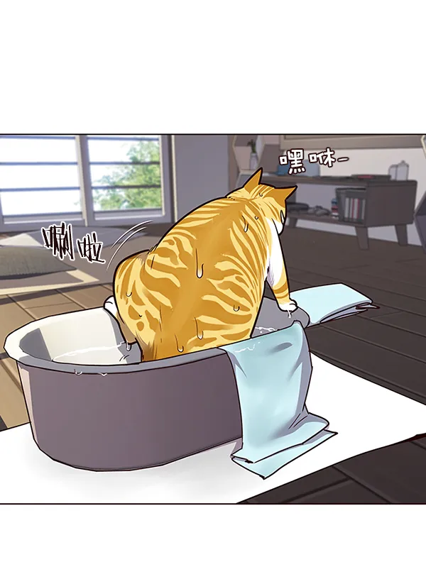 第47话 第44页