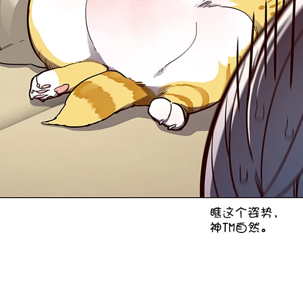 第50话 第11页