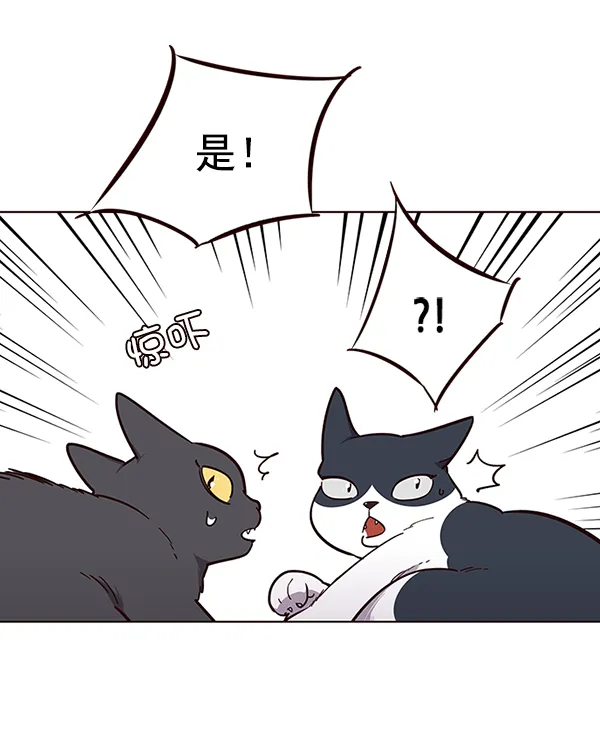第50话 第24页