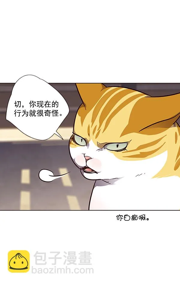 第50话 第38页