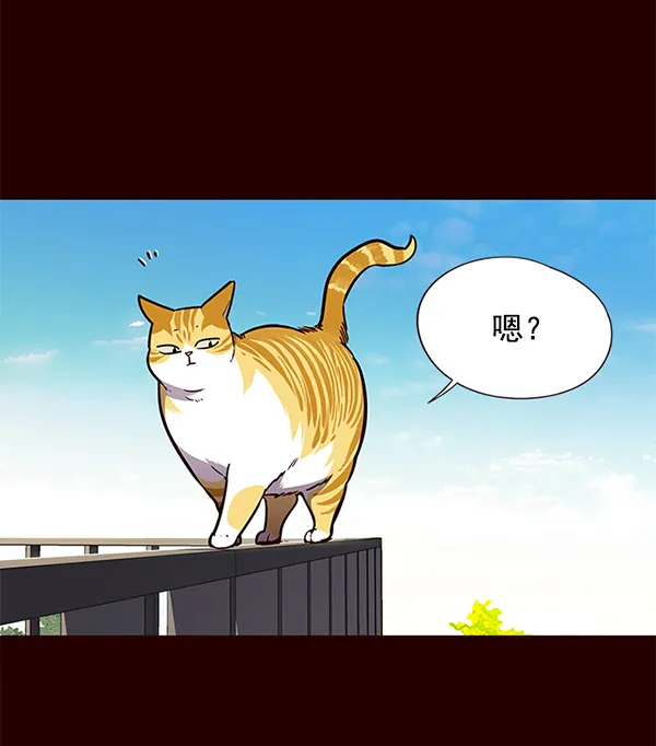 第52话 第42页