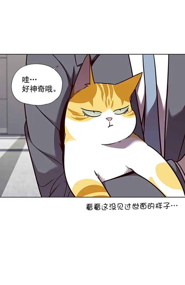 第53话 第29页