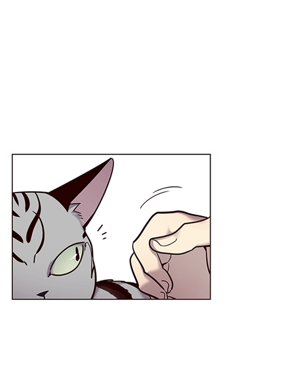 第55话 第20页