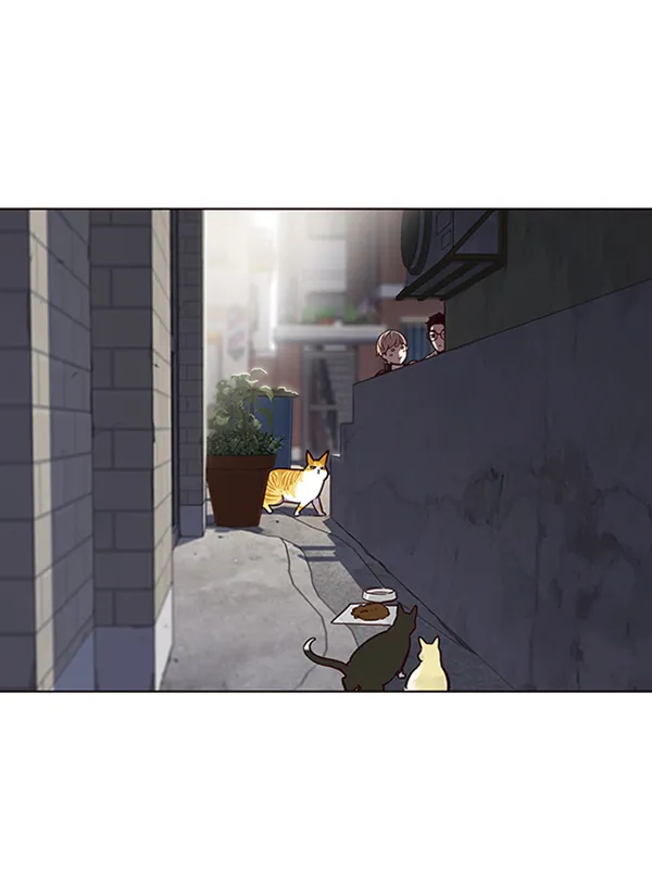 第55话 第43页