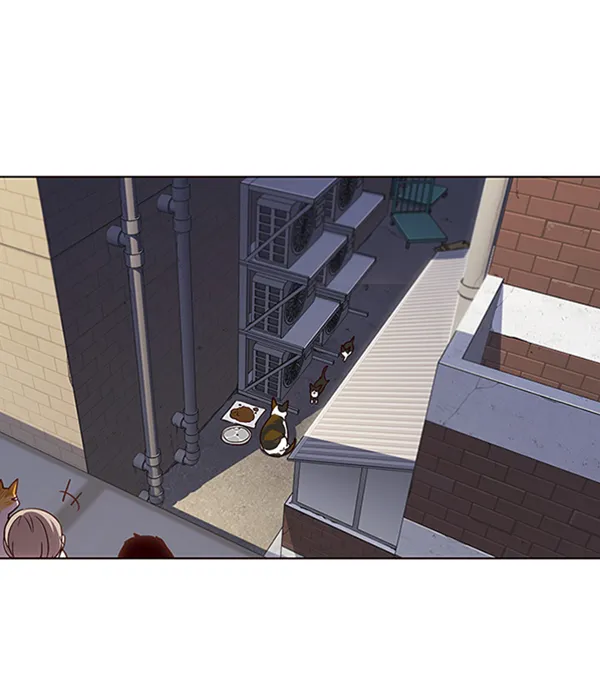 第55话 第44页
