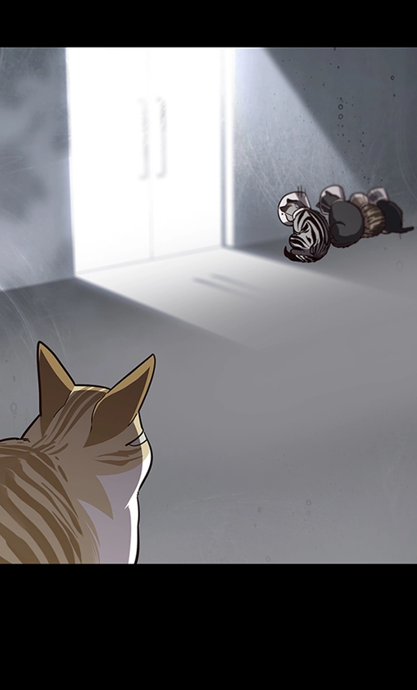 第56话 第5页