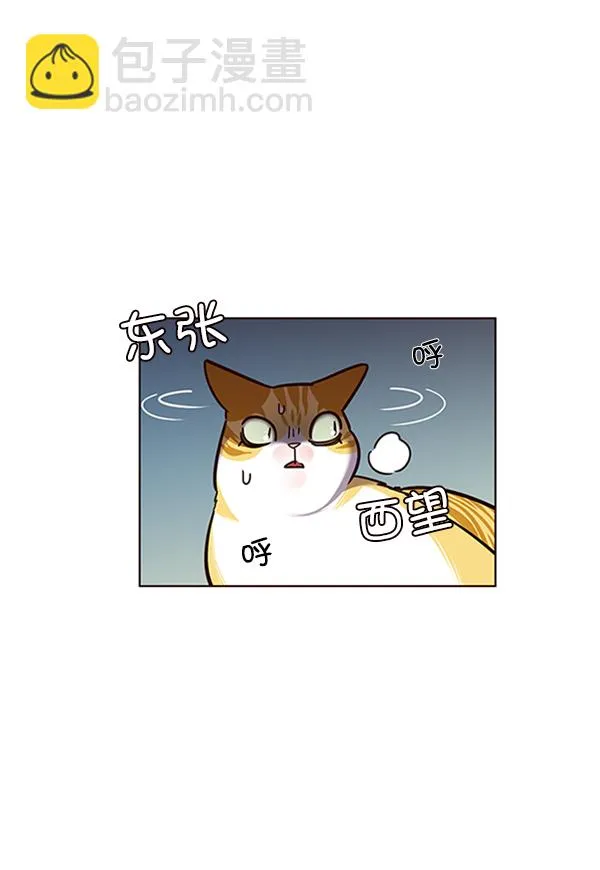 第56话 第19页