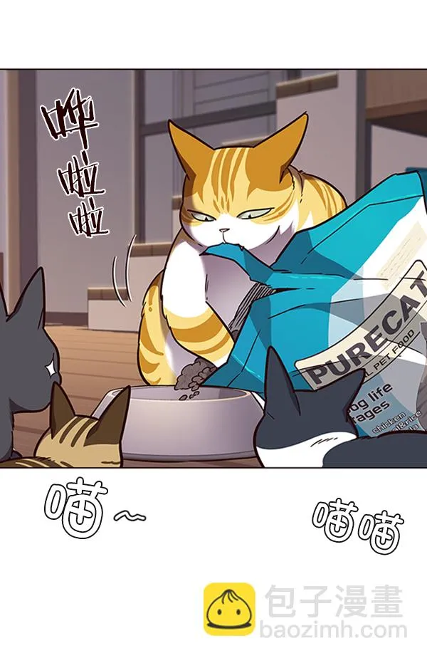 第56话 第70页