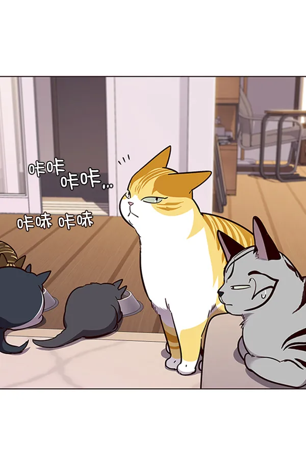 第56话 第71页