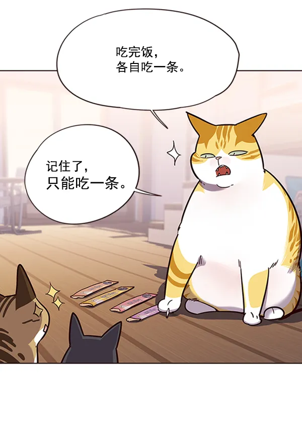 第56话 第79页