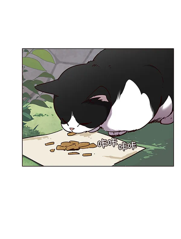 第57话 第21页