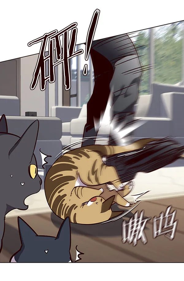 第58话 第11页