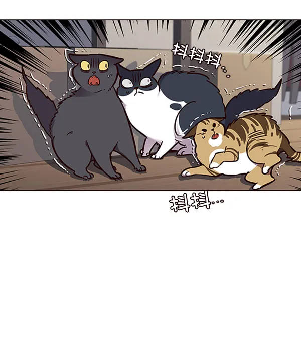 第58话 第13页