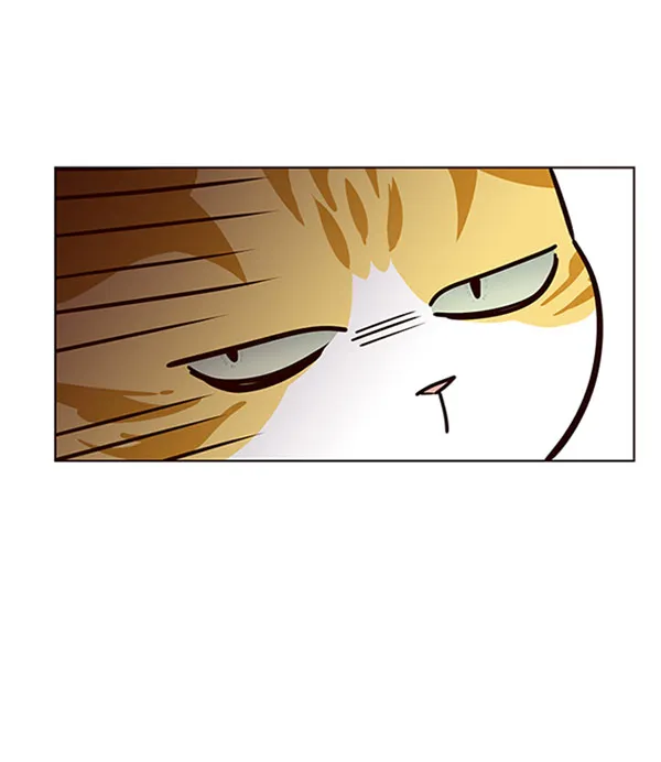 第58话 第45页