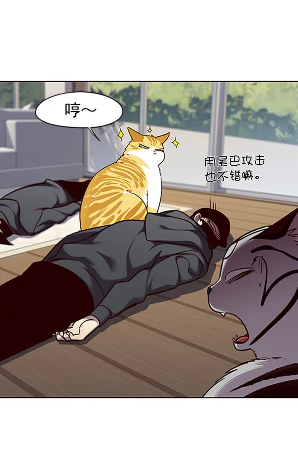 第58话 第51页