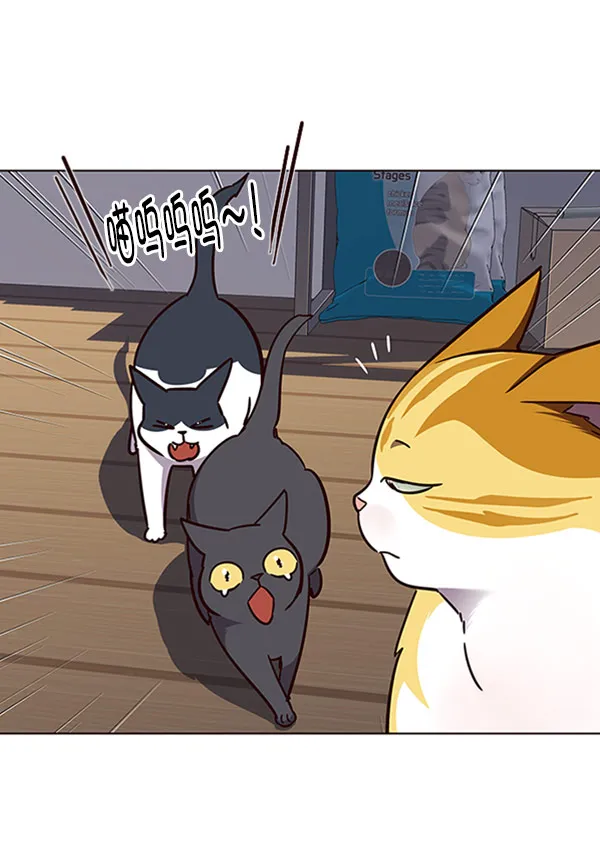 第58话 第56页