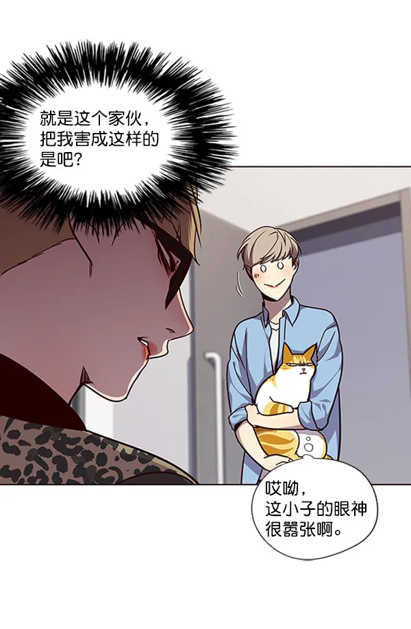 第62话 第31页