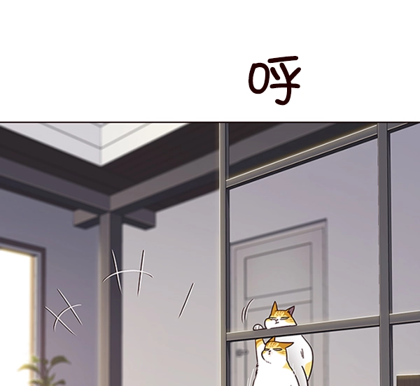 第64话 第66页