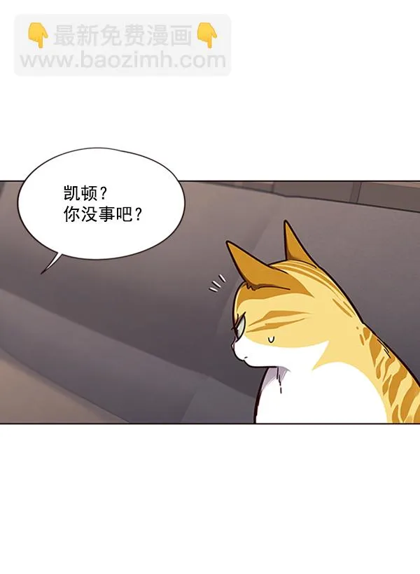 第65话 第17页