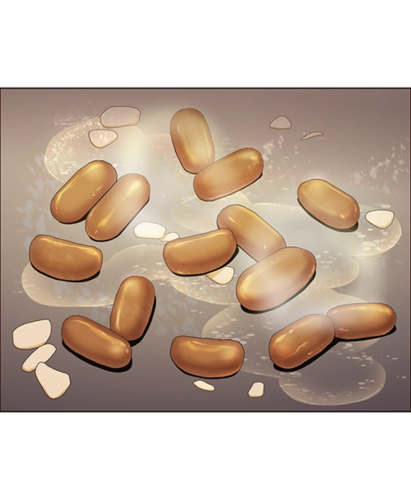 第66话 第52页