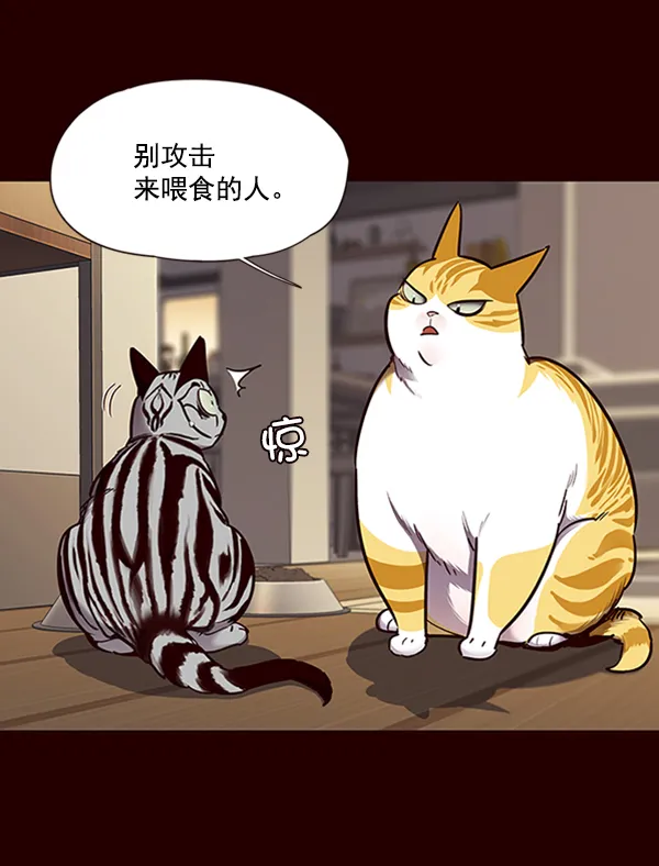 第67话 第45页