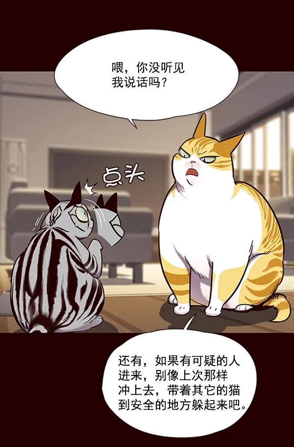 第67话 第47页