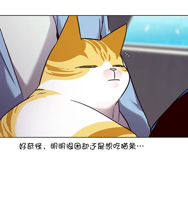 第67话 第70页