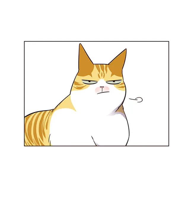 第69话 第70页