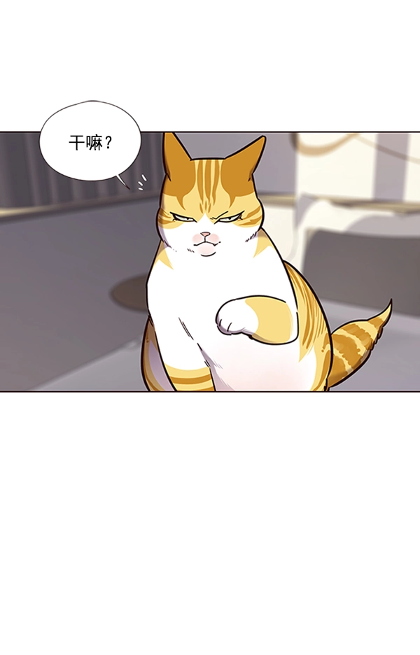 第74话 第97页