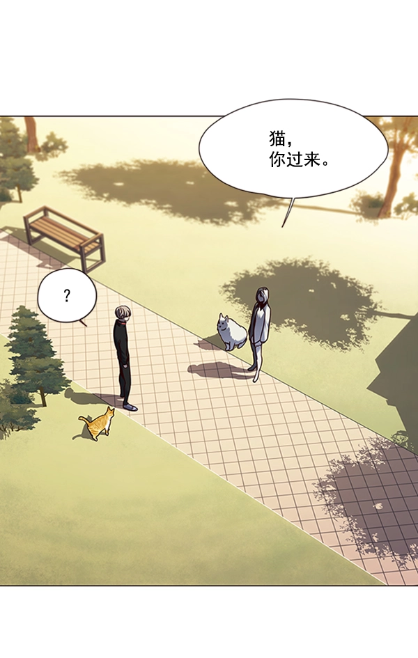 第80话 第82页