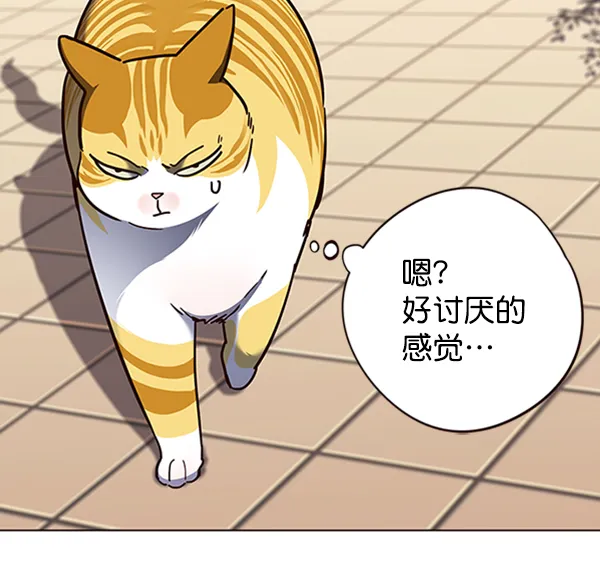 第81话 第13页
