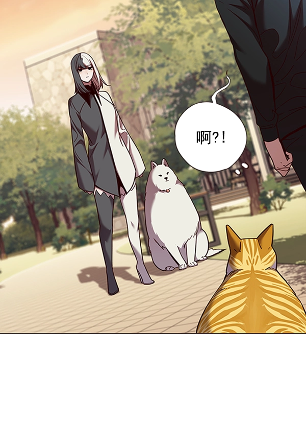 第81话 第40页